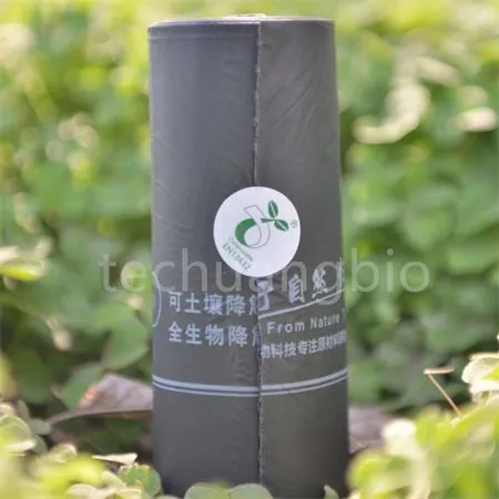 biodegradable and compostable bag