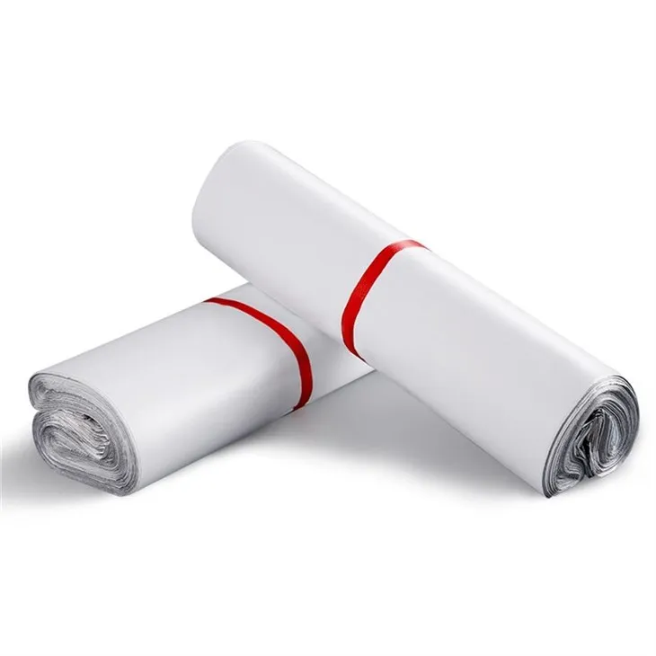 compostable express bag